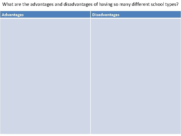 What are the advantages and disadvantages of having so many different school types? Advantages