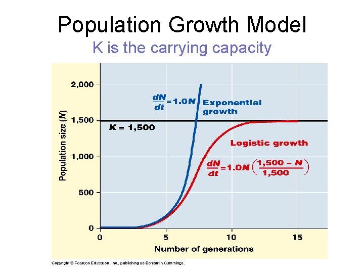 Population Growth Model K is the carrying capacity 