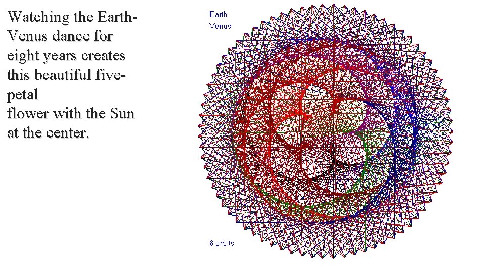 Watching the Earth. Venus dance for eight years creates this beautiful fivepetal flower with