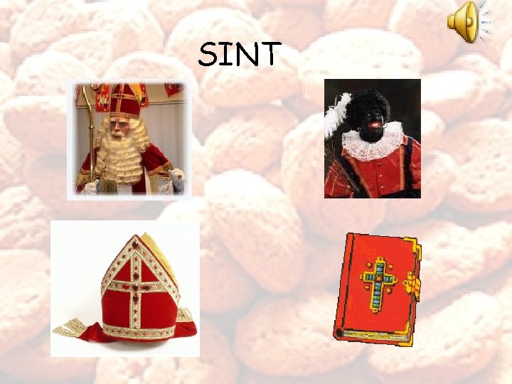 SINT 