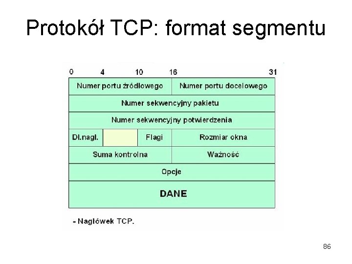 Protokół TCP: format segmentu 86 