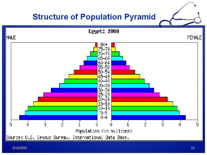 Structure of Population Pyramid 2/19/2021 12 