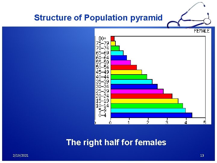 Structure of Population pyramid The right half for females 2/19/2021 13 