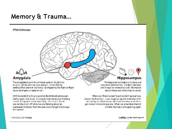 Memory & Trauma… 