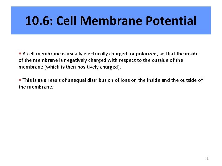 10. 6: Cell Membrane Potential • A cell membrane is usually electrically charged, or