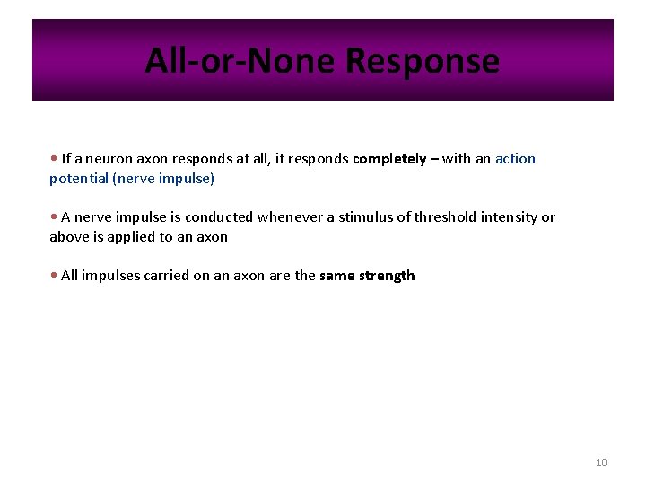 All-or-None Response • If a neuron axon responds at all, it responds completely –
