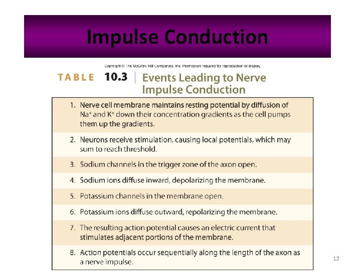 Impulse Conduction 12 