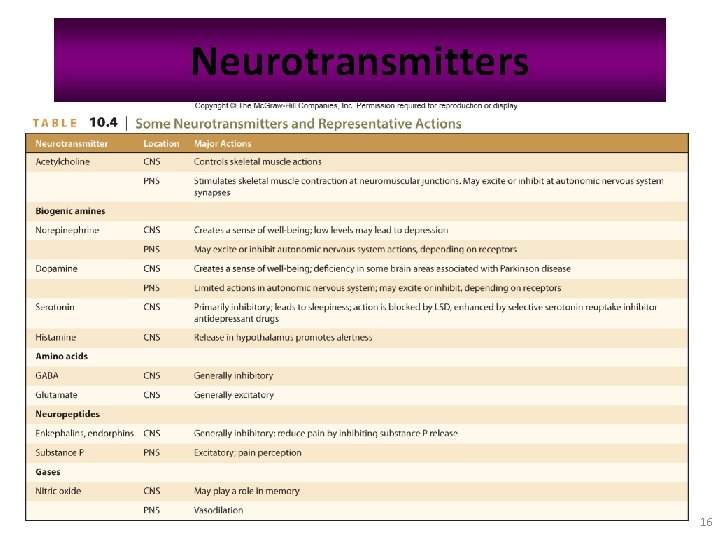 Neurotransmitters 16 