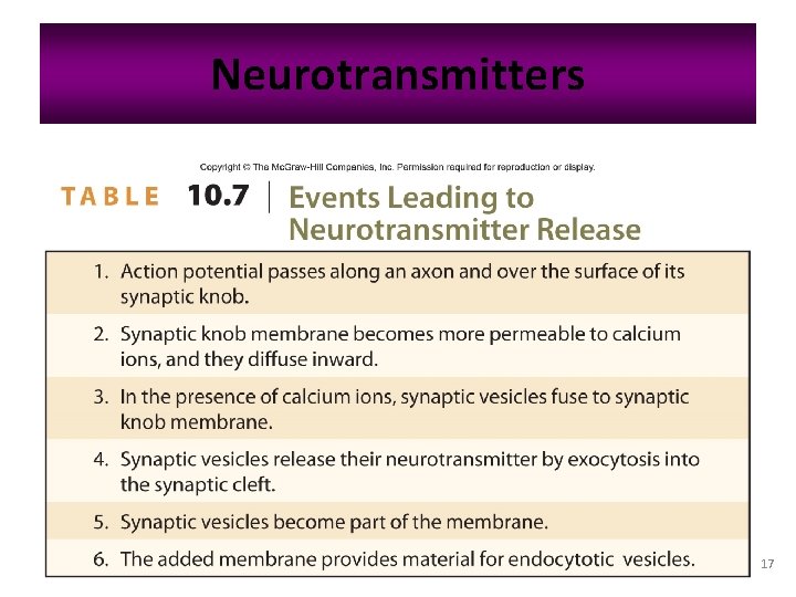 Neurotransmitters 17 