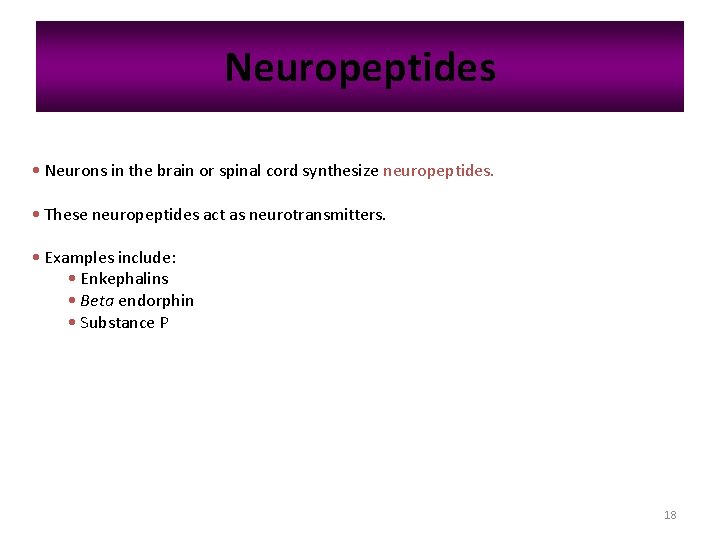 Neuropeptides • Neurons in the brain or spinal cord synthesize neuropeptides. • These neuropeptides