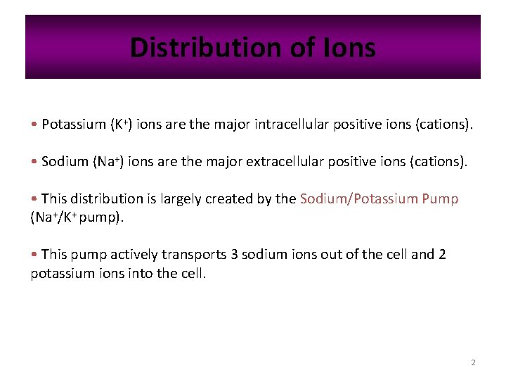 Distribution of Ions • Potassium (K+) ions are the major intracellular positive ions (cations).