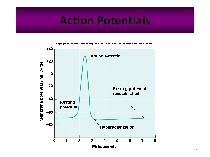 Action Potentials Copyright © The Mc. Graw-Hill Companies, Inc. Permission required for reproduction or