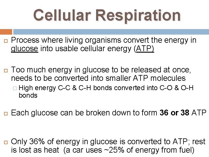 Cellular Respiration Process where living organisms convert the energy in glucose into usable cellular