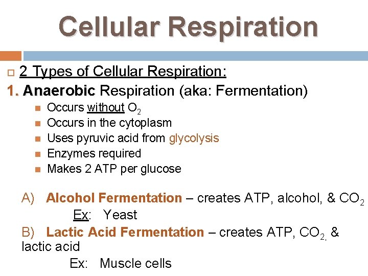 Cellular Respiration 2 Types of Cellular Respiration: 1. Anaerobic Respiration (aka: Fermentation) Occurs without