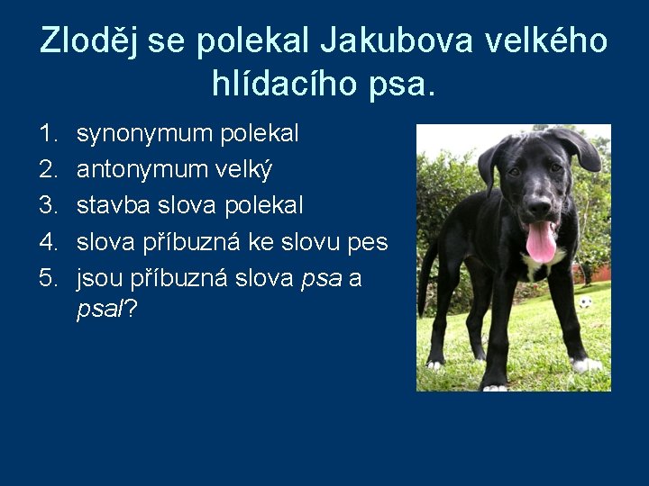 Zloděj se polekal Jakubova velkého hlídacího psa. 1. 2. 3. 4. 5. synonymum polekal