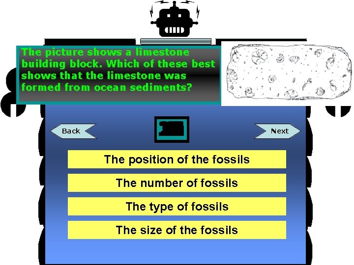 The picture shows a limestone building block. Which of these best shows that the