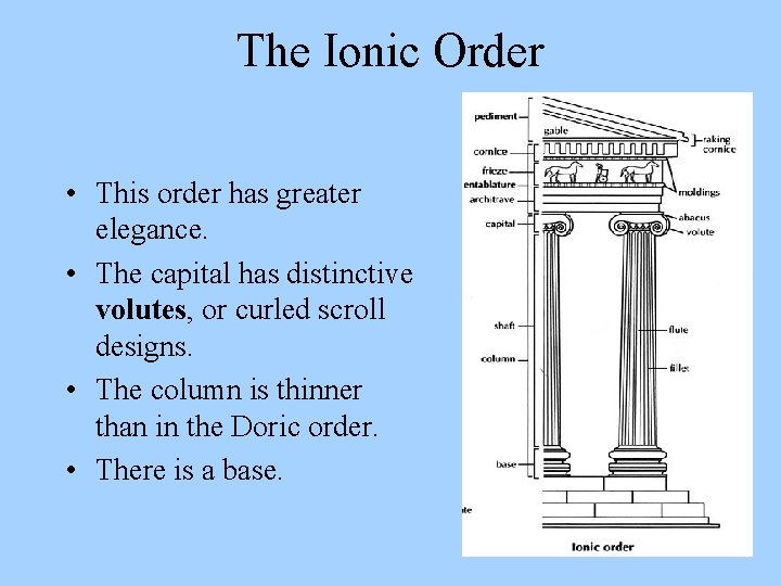 The Ionic Order • This order has greater elegance. • The capital has distinctive