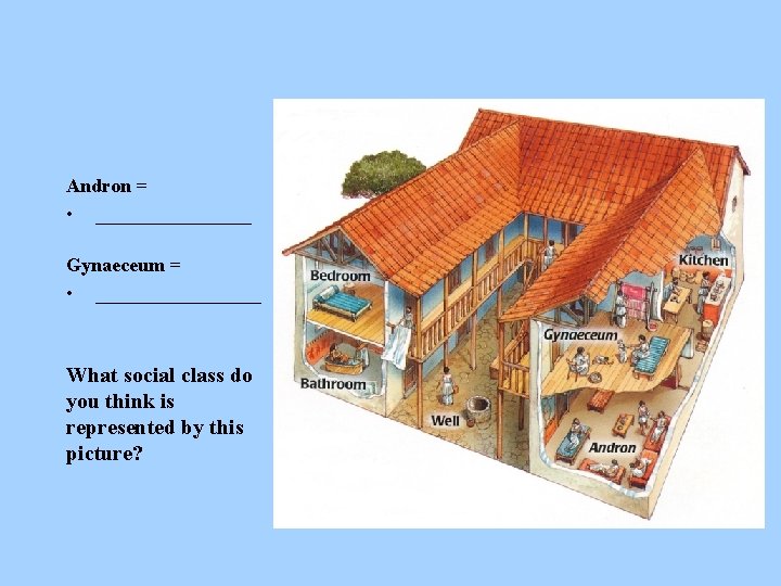 Andron = • ________ Gynaeceum = • _________ What social class do you think