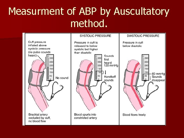 Measurment of ABP by Auscultatory method. 