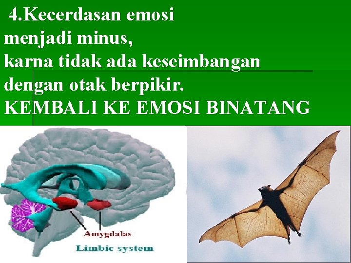 4. Kecerdasan emosi menjadi minus, karna tidak ada keseimbangan dengan otak berpikir. KEMBALI KE