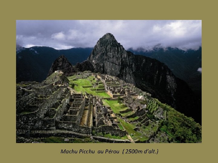 Machu Picchu au Pérou ( 2500 m d’alt. ) 