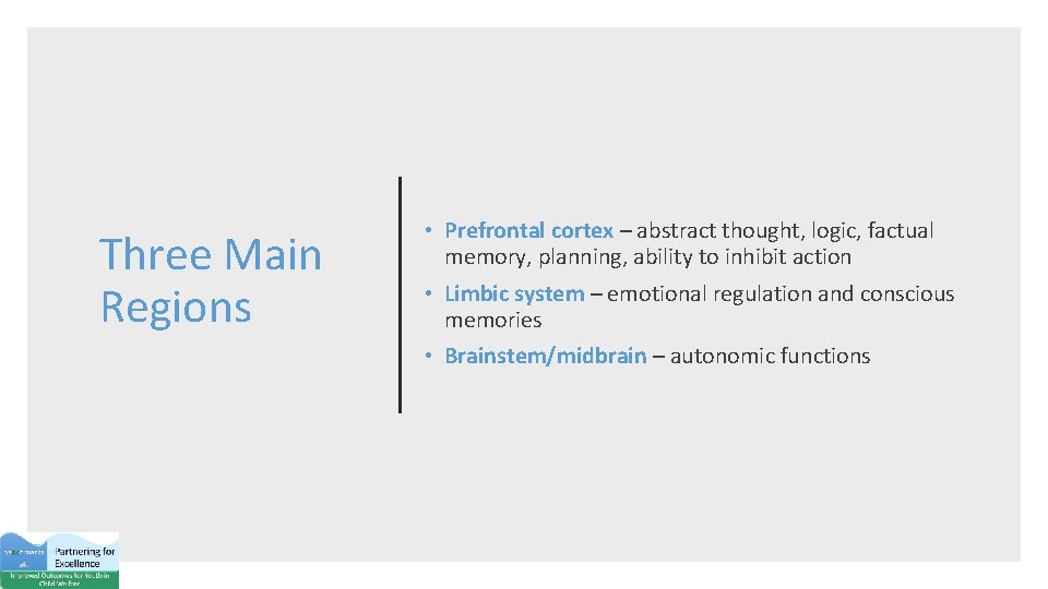 Three Main Regions • Prefrontal cortex – abstract thought, logic, factual memory, planning, ability