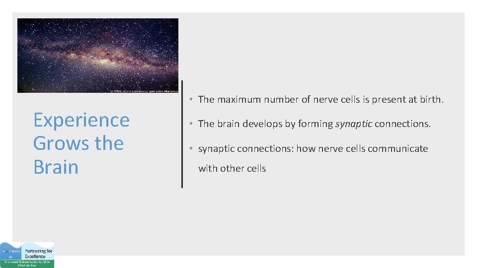  • The maximum number of nerve cells is present at birth. Experience Grows