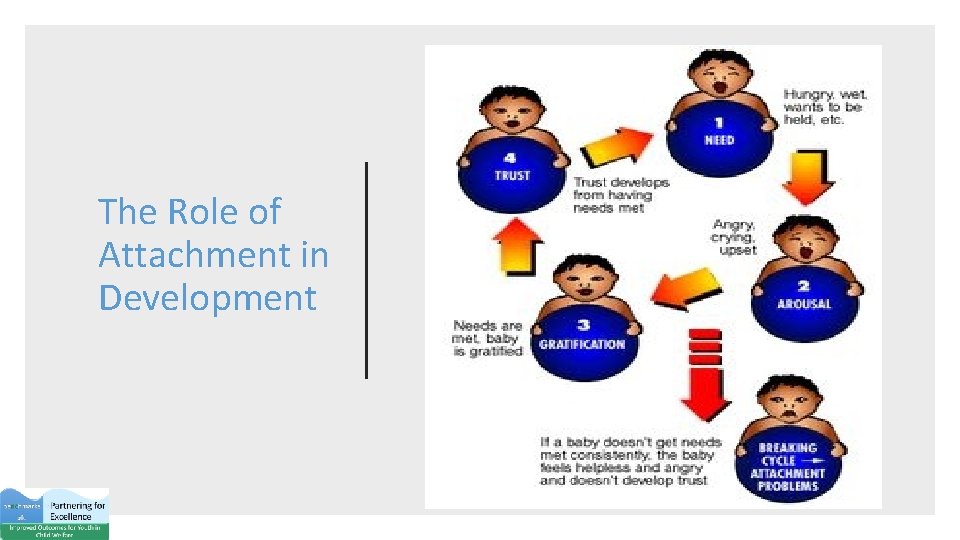 The Role of Attachment in Development 