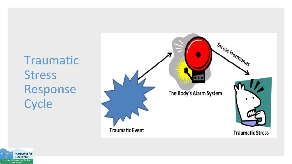 Traumatic Stress Response Cycle 