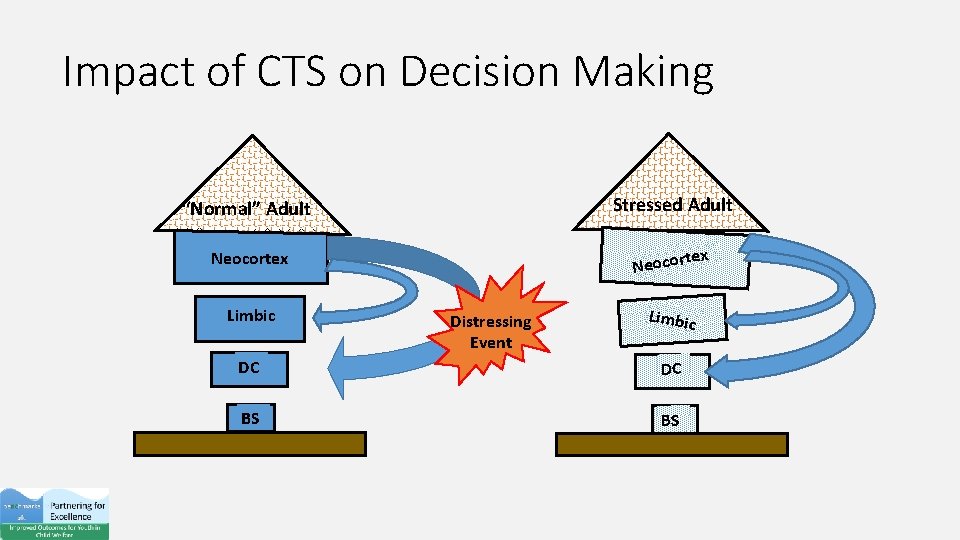 Impact of CTS on Decision Making Stressed Adult “Normal” Adult tex Neocortex Limbic Neocor