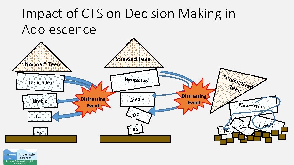 Impact of CTS on Decision Making in Adolescence Stressed Teen “Normal” Teen Neocortex Limbic