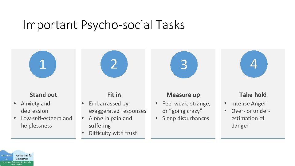 Important Psycho-social Tasks 1 2 3 4 Stand out Fit in Measure up Take