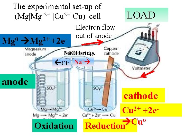 The experimental set-up of (Mg|Mg 2+ ||Cu 2+ |Cu) cell Mg 0 Mg 2+