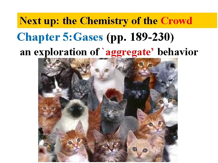Next up: the Chemistry of the Crowd Chapter 5: Gases (pp. 189 -230) an
