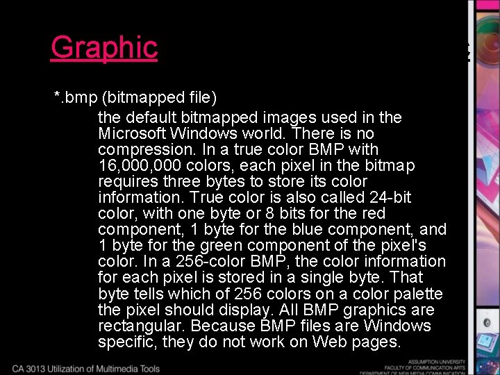 Graphic *. bmp (bitmapped file) the default bitmapped images used in the Microsoft Windows