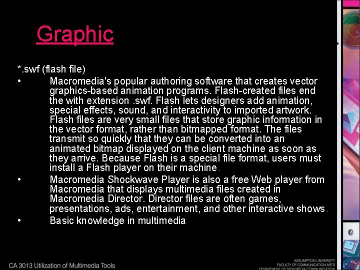 Graphic Animation *. swf (flash file) • Macromedia's popular authoring software that creates vector