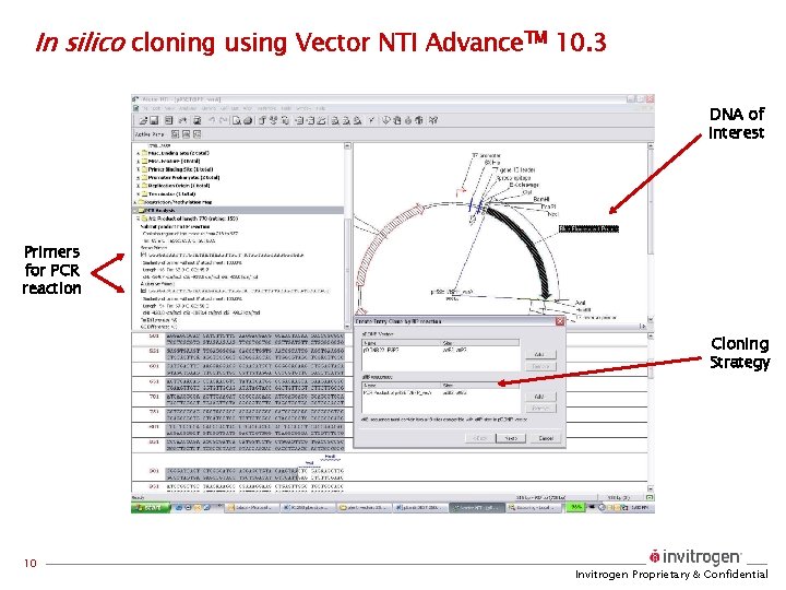 In silico cloning using Vector NTI Advance. TM 10. 3 DNA of interest Primers