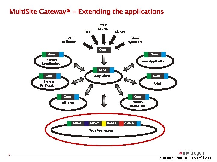 Multi. Site Gateway® - Extending the applications PCR Your Source Library ORF collection Gene