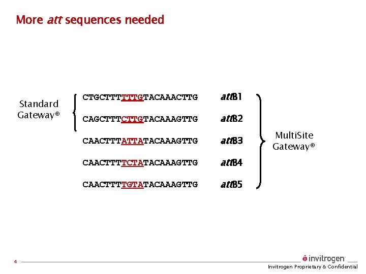 More att sequences needed Standard Gateway® 4 CTGCTTTTTTGTACAAACTTG att. B 1 CAGCTTTCTTGTACAAAGTTG att. B