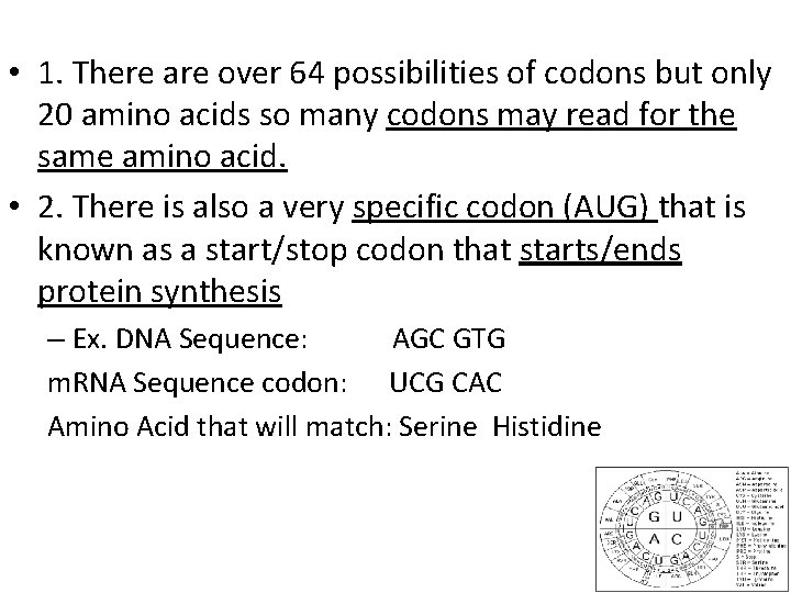 • 1. There are over 64 possibilities of codons but only 20 amino • 1. There are over 64 possibilities of codons but only 20 amino