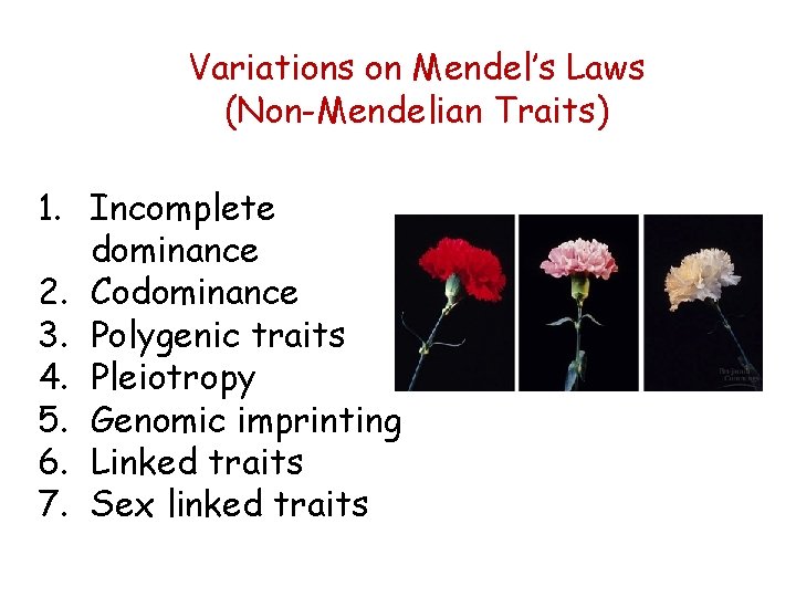 Variations on Mendel’s Laws (Non-Mendelian Traits) 1. Incomplete dominance 2. Codominance 3. Polygenic traits