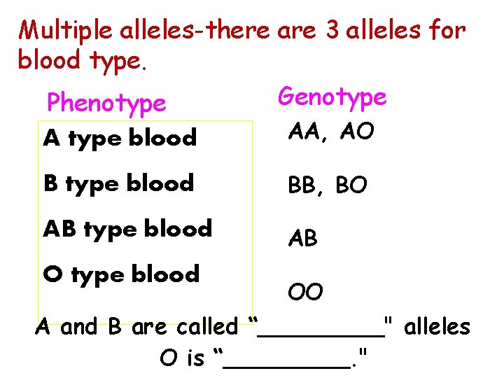 Multiple alleles-there are 3 alleles for blood type. Genotype Phenotype A type blood AA,