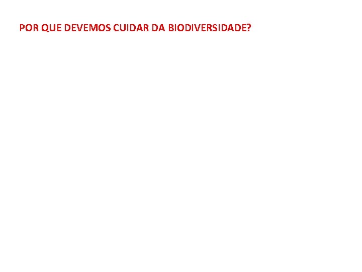 POR QUE DEVEMOS CUIDAR DA BIODIVERSIDADE? 