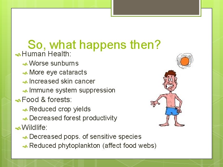 So, what happens then? Human Health: Worse sunburns More eye cataracts Increased skin cancer