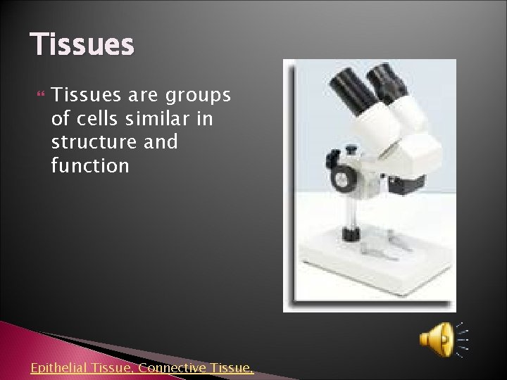 Tissues are groups of cells similar in structure and function Epithelial Tissue, Connective Tissue,