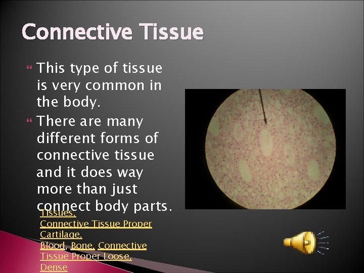 Connective Tissue This type of tissue is very common in the body. There are