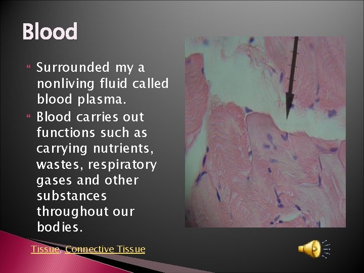Blood Surrounded my a nonliving fluid called blood plasma. Blood carries out functions such