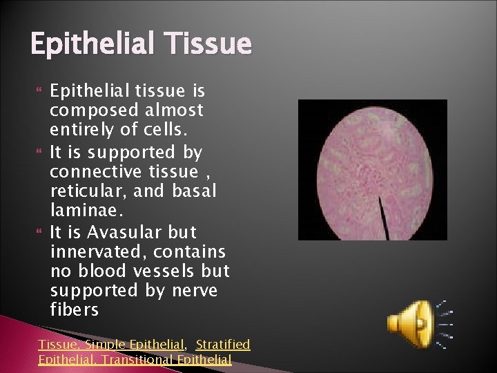 Epithelial Tissue Epithelial tissue is composed almost entirely of cells. It is supported by