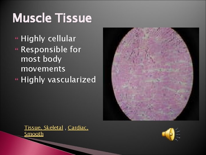 Muscle Tissue Highly cellular Responsible for most body movements Highly vascularized Tissue, Skeletal ,