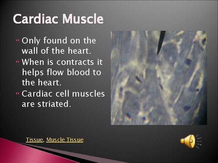 Cardiac Muscle Only found on the wall of the heart. When is contracts it